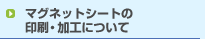 �}�O�l�b�g�V�[�g�̈���E���H�ɂ���